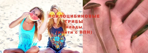 apvp Абинск