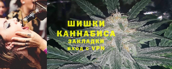 spice Алзамай