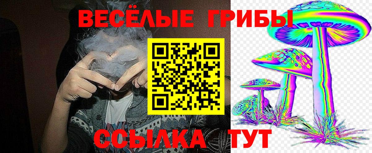 Галлюциногенные грибы Psilocybine cubensis  Вход с VPN  Тобольск  Псилоцибиновые грибы мухоморы 